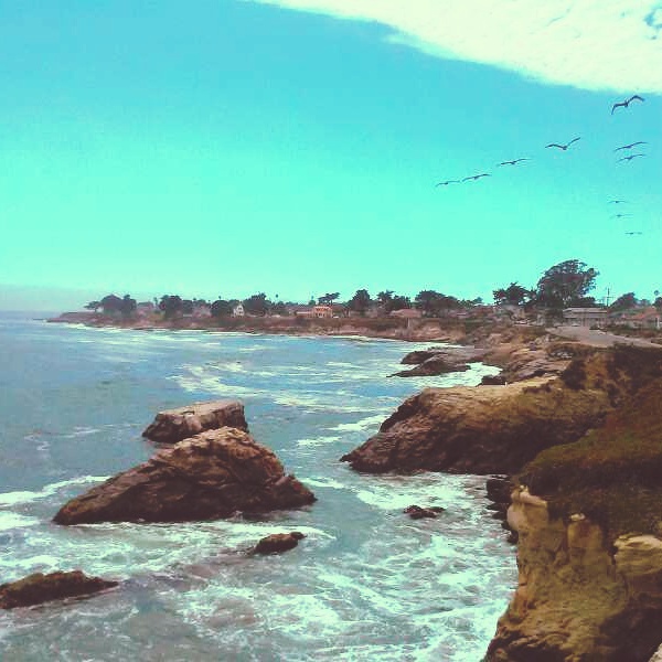 IMG_20140707_161814.jpg image